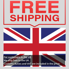 Load image into Gallery viewer, LIVEN Lofi-12 With Free AC Adapter