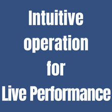 Load image into Gallery viewer, LIVEN XFM With Free AC Adapter