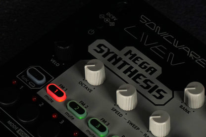 LIVEN MEGA SYNTHESIS